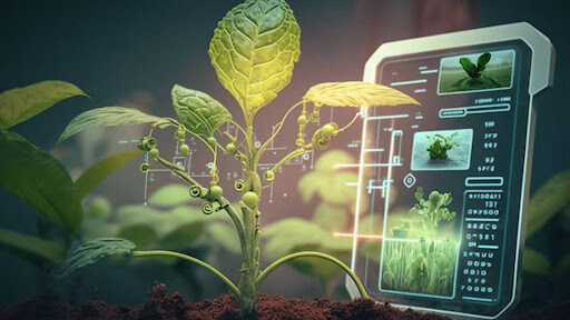 Innovations in AgriTech 2024