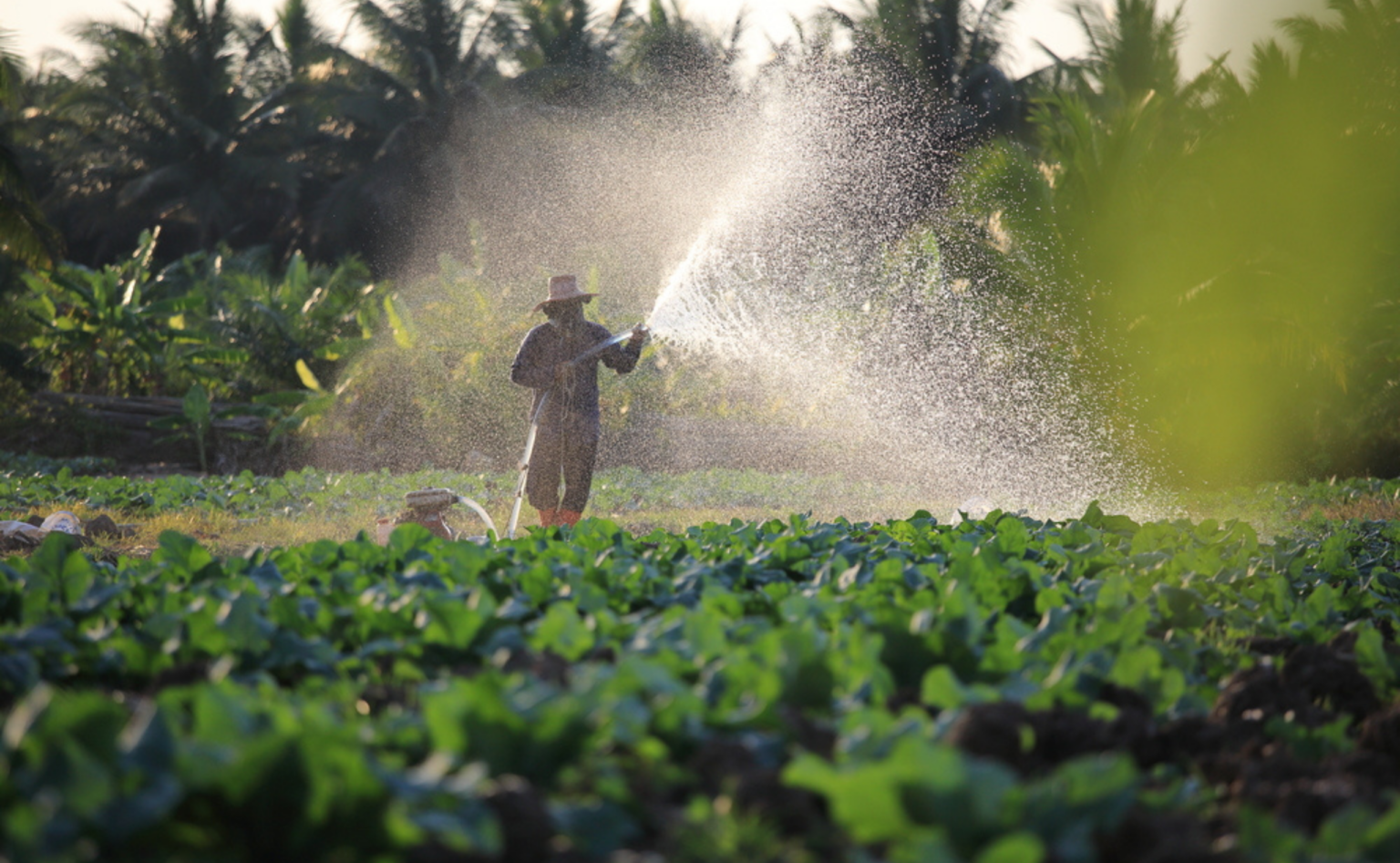 Water Resource Management in Agriculture 2023